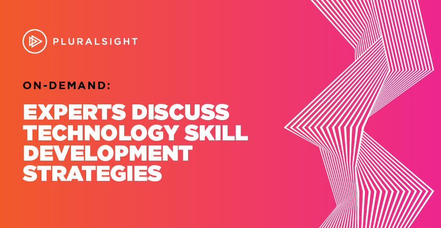 Webinar | Experts discuss technology skill development